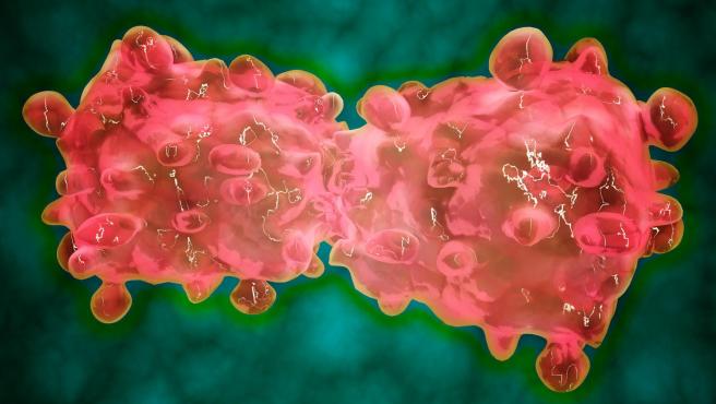 En este momento estás viendo Descubren el primer anticuerpo que ataca las células madre del cáncer: frena la propagación de tumores y previene la metástasis