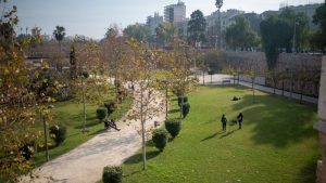 Lee más sobre el artículo València renaturaliza la ciudad con la mejora de los parques y jardines