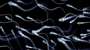 Lee más sobre el artículo Crean una píldora anticonceptiva para hombres que paraliza los espermatozoides unas horas
