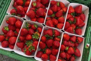 Lee más sobre el artículo Una frutería revela el truco para saber si las fresas vienen de Marruecos o son españolas